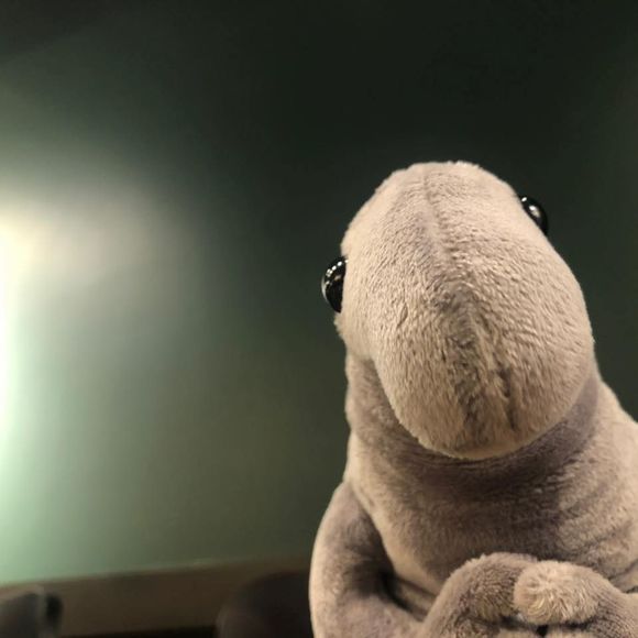 Meet your Posher, Michael - Picture 1 of 1